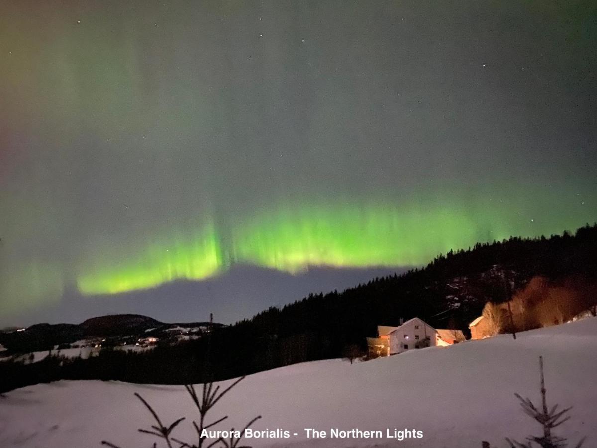 Hafjell Alpinlandsby Apt 88 Dış mekan fotoğraf